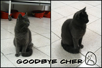 Goodbye Cher, you were my favorite...