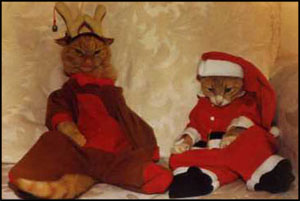 Holiday Kitties!