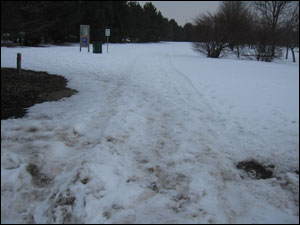 Snowy Path in Lippold