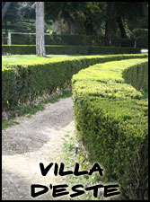 Hedges at Villa d'Este