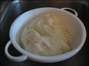 Making Vital Wheat Gluten