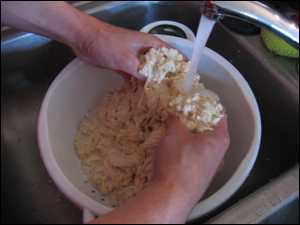 Making Vital Wheat Gluten